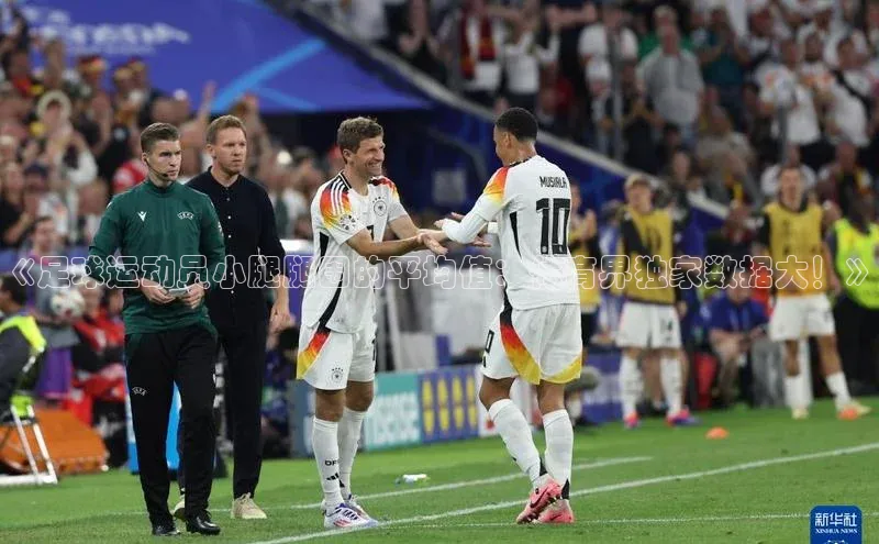 熊猫体育直播app云创智行《足球运动员小腿腿围的平均值：体育界独家数据大！》