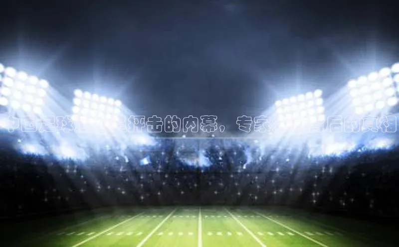 熊猫体育官网首页入口颐驰 06中国足球运动员抨击的内幕，专家分析背后的真相