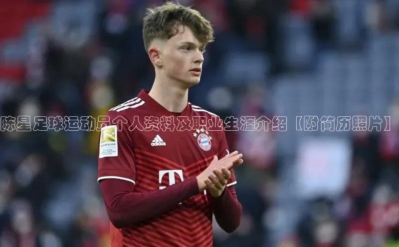 熊猫app官方网站百度众测陈星足球运动员个人资料及职业生涯介绍【附简历照片】