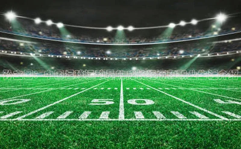 熊猫app官方网站滴滴出行孙立国：中国足球运动员的成长经历和职业生涯介绍