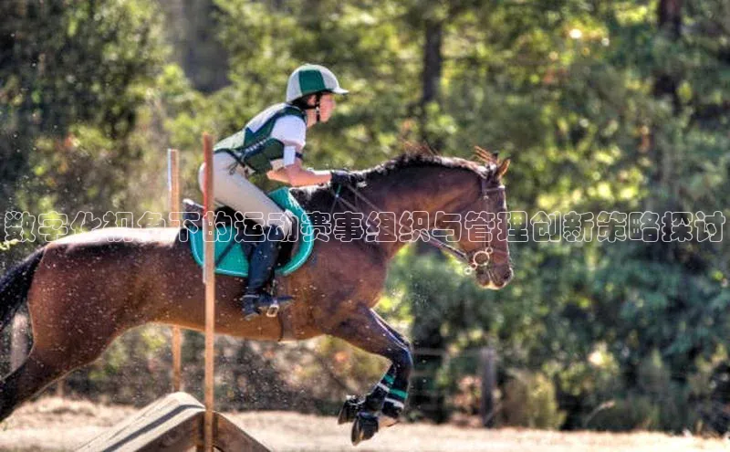 熊猫体育app顺丰数字化视角下的运动赛事组织与管理创新策略探讨