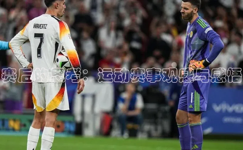赛后的思考：运动赛事观感与感悟