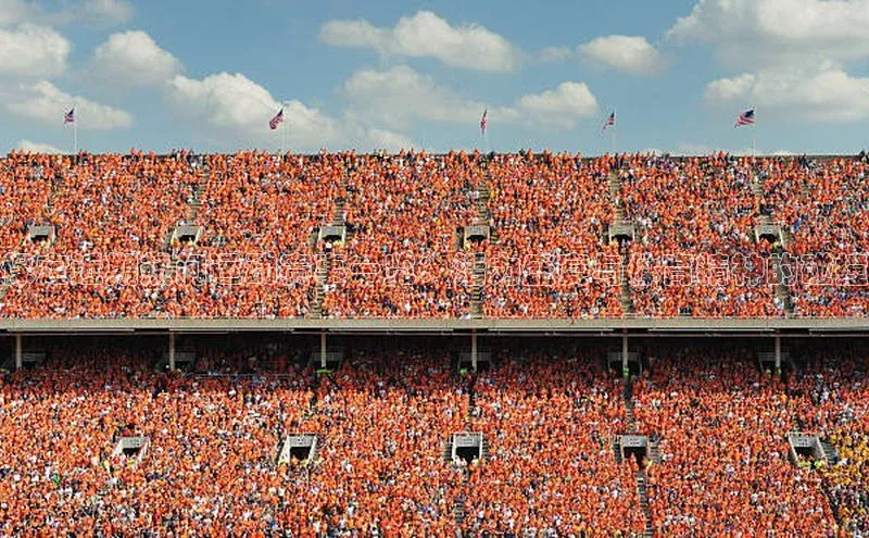 保定近期热门运动赛事一览：活力盛宴与体育精神的碰撞