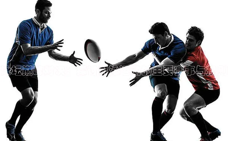 泳坛巅峰对决：探讨游泳运动的主要赛事与规则