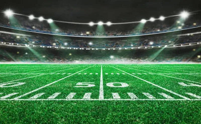 UnderstandingSports:ABriefIntroductioninEnglish