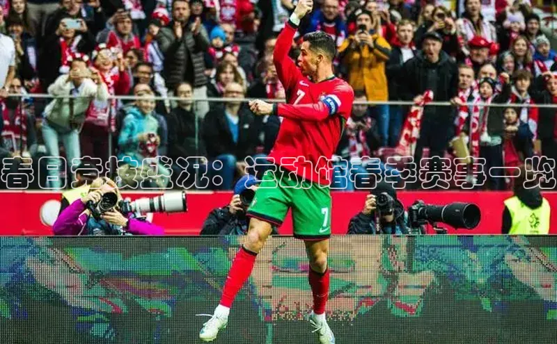 春日竞技盛况：运动馆春季赛事一览