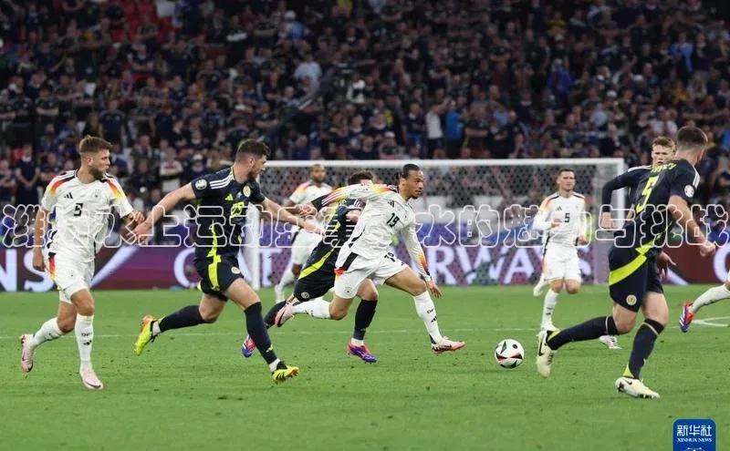 潍坊水上运动盛事：水的魅力与挑战