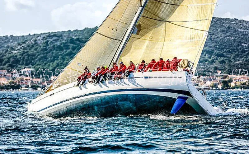 成都的活力：最新运动赛事一览