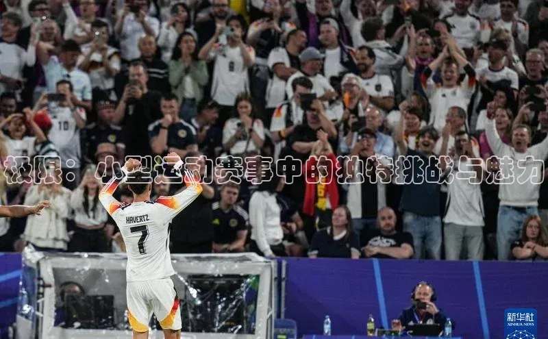 极限：小型运动赛事中的独特挑战与魅力