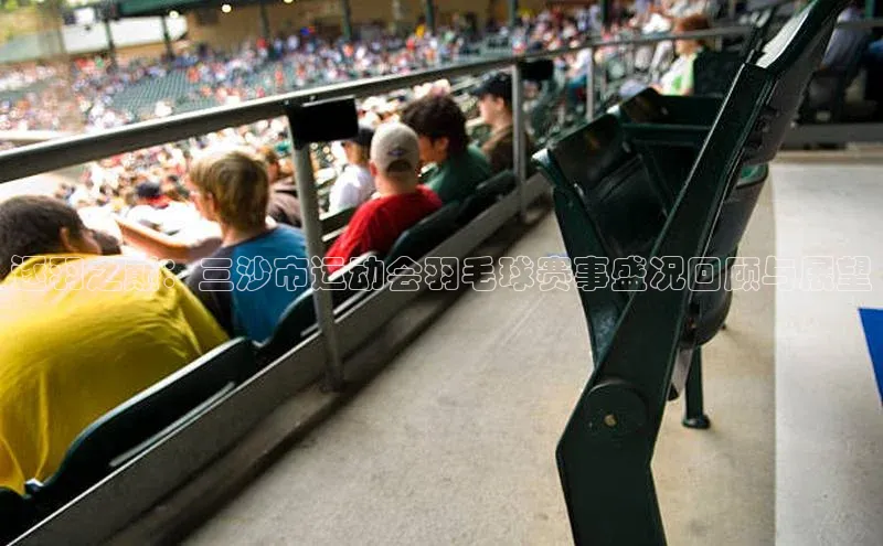 逐羽之巅：三沙市运动会羽毛球赛事盛况回顾与展望