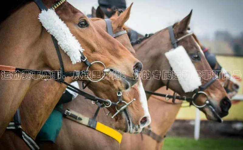 运动赛事盛事，从这里开始：你的专属运动赛事订阅号