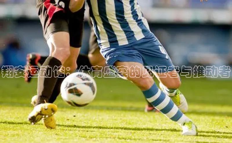 翔安运动馆：体育盛宴的见证者与推动者