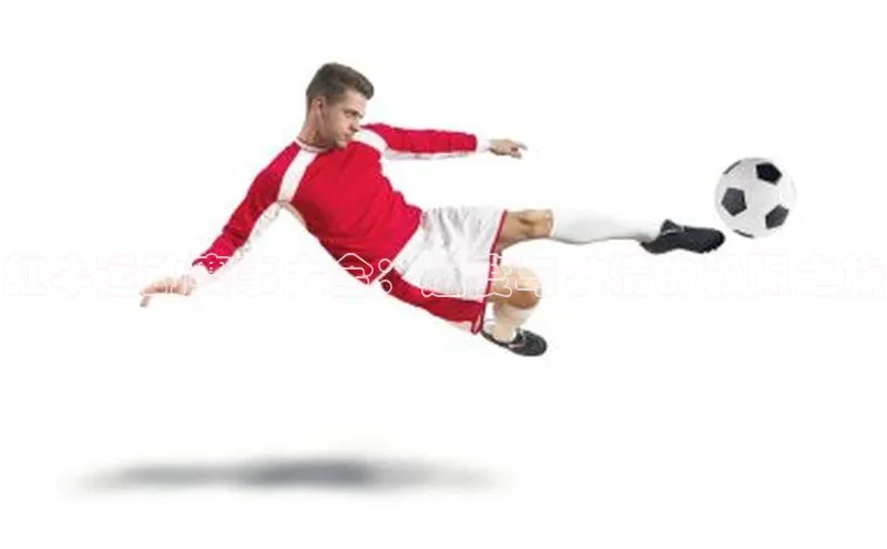 熊猫体育app下载安装