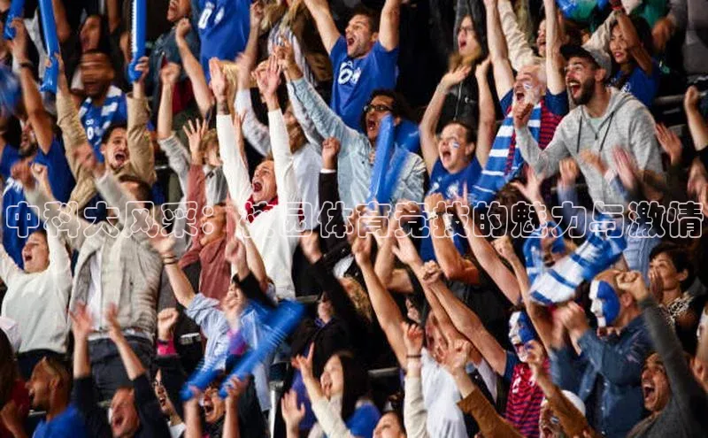 熊猫体育网页版