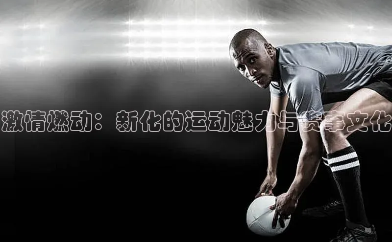 激情燃动：新化的运动魅力与赛事文化