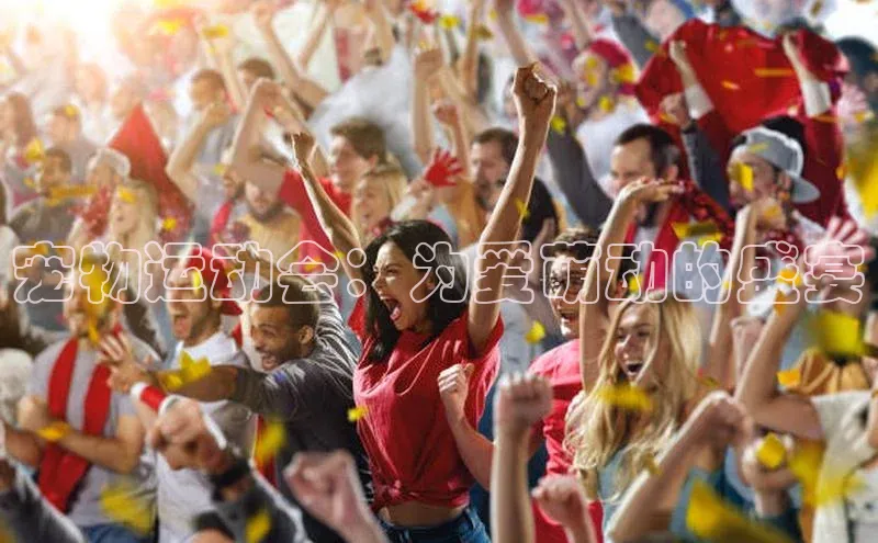 熊猫体育在线观看平台