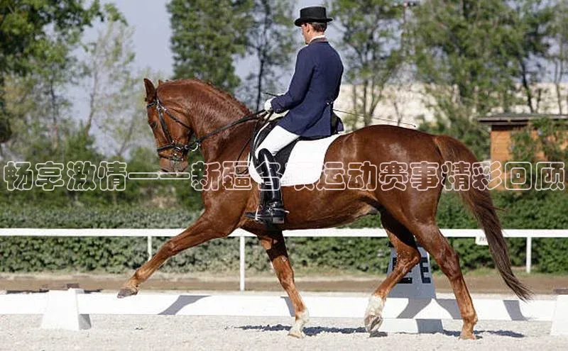 畅享激情——新疆各项运动赛事精彩回顾