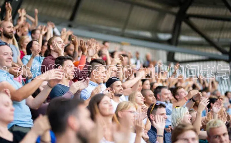 ：小规模体育赛事所面临的问题与