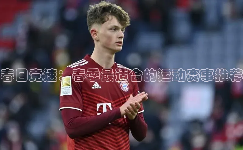 熊猫足球直播免费观看